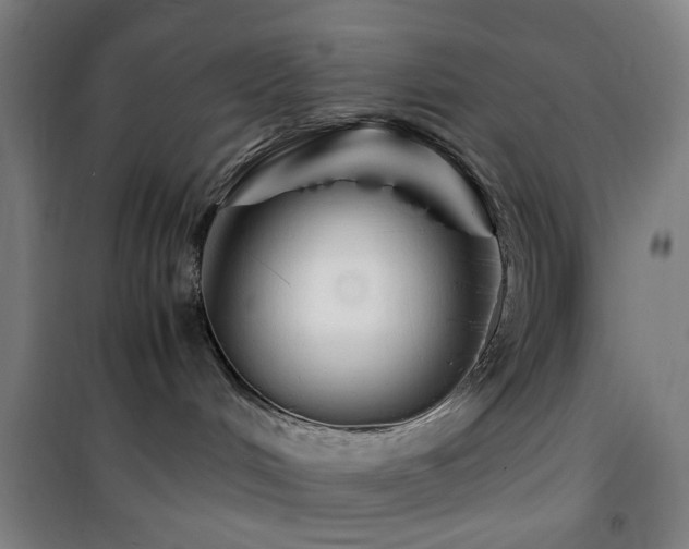 X0000101660048200807101304