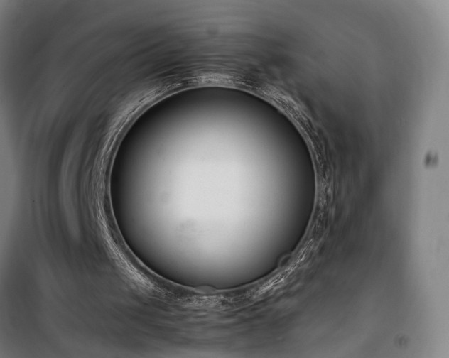 X0000101660049200807101303