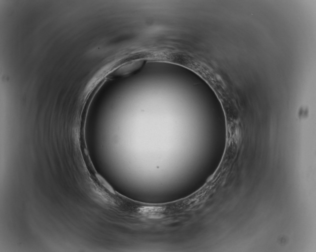 X0000101660051200807101303