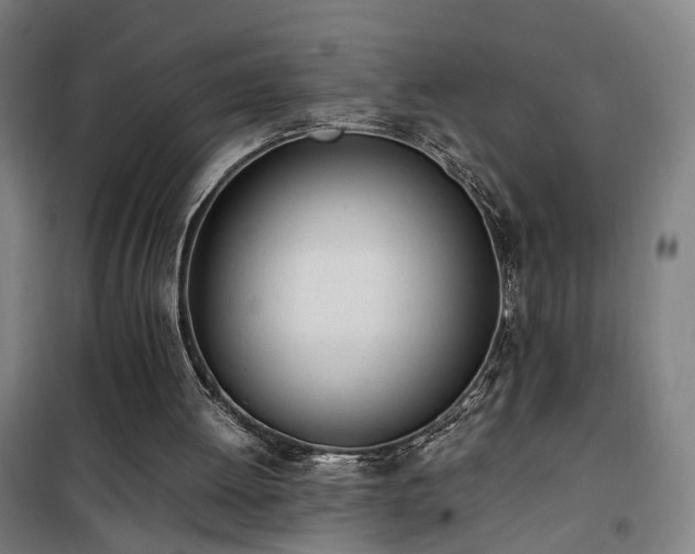 X0000101660052200807101303