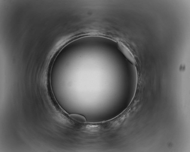 X0000101660055200807101303