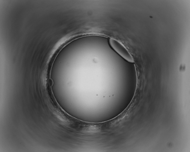 X0000101660056200807101303