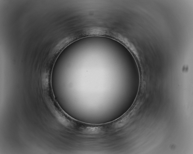 X0000101660057200807101303