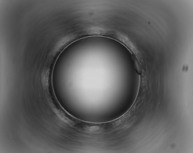 X0000101660058200807101303