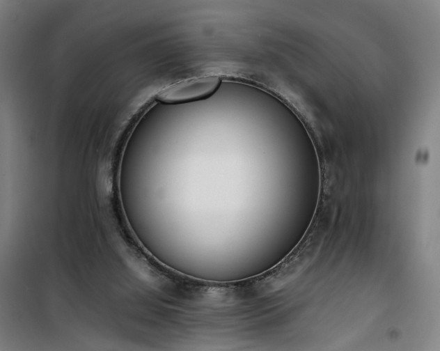 X0000101660060200807101303