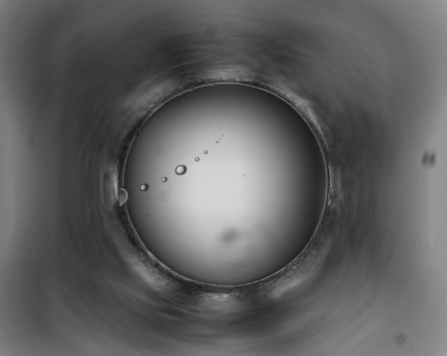 X0000101660061200807101303