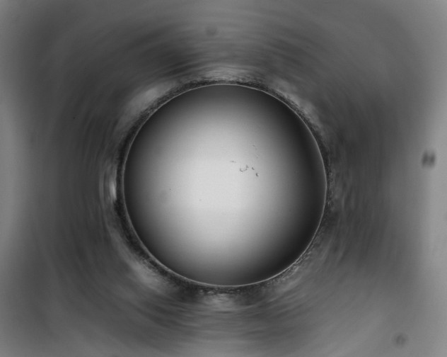 X0000101660062200807101303