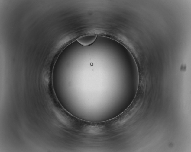 X0000101660063200807101304