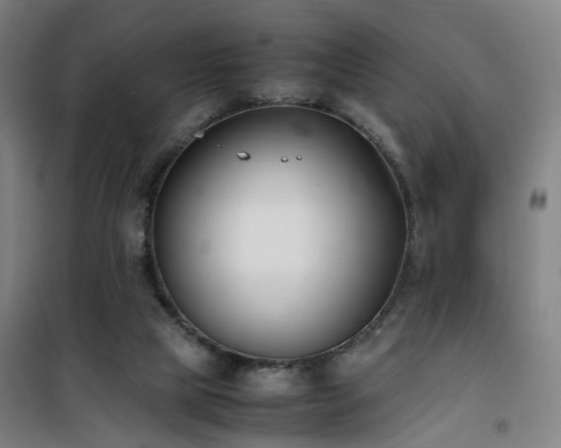 X0000101660065200807101304