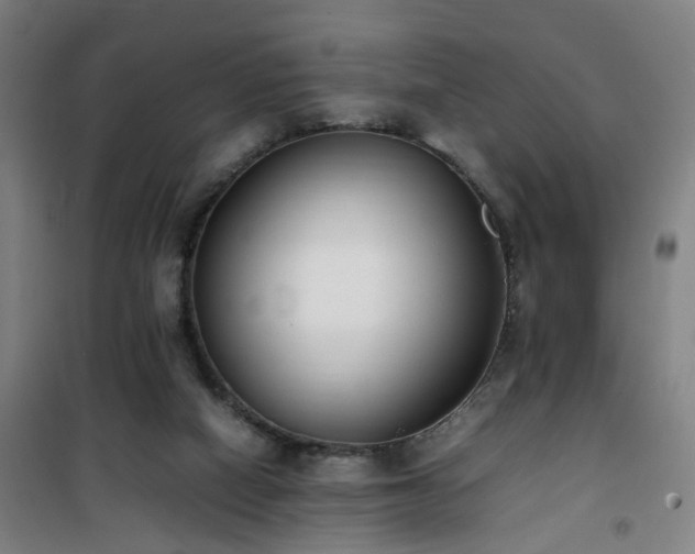 X0000101660066200807101304