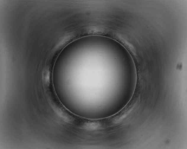 X0000101660067200807101304