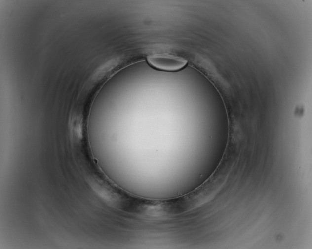 X0000101660068200807101304