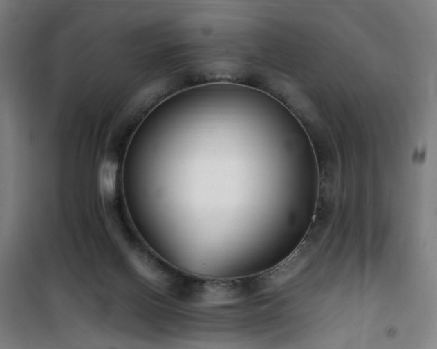 X0000101660070200807101304