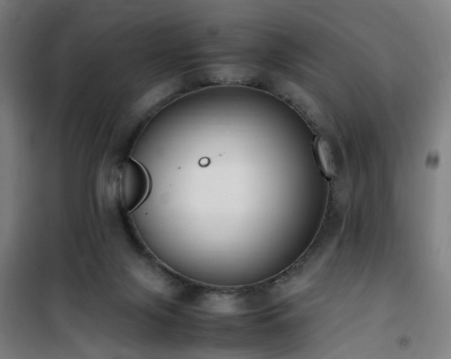 X0000101660071200807101304