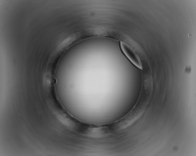 X0000101660072200807101304