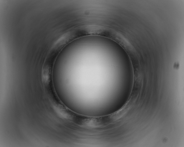 X0000101660074200807101304