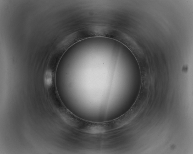 X0000101660075200807101304