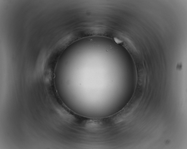 X0000101660077200807101304