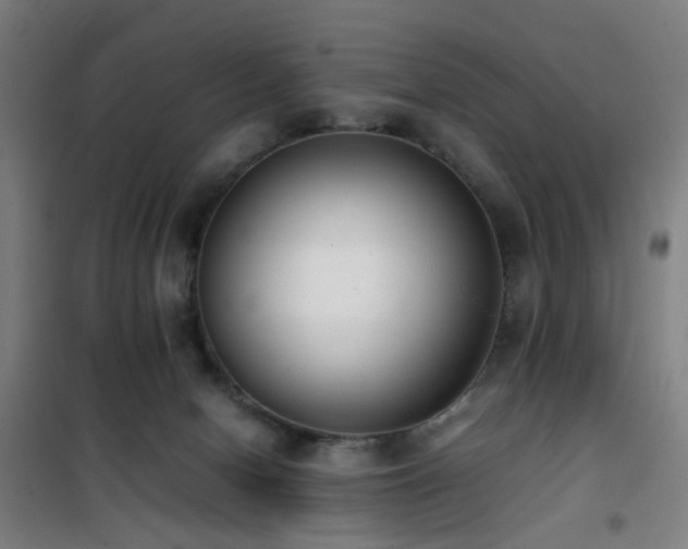 X0000101660078200807101304