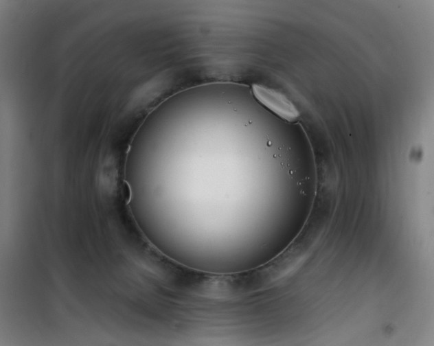 X0000101660080200807101304