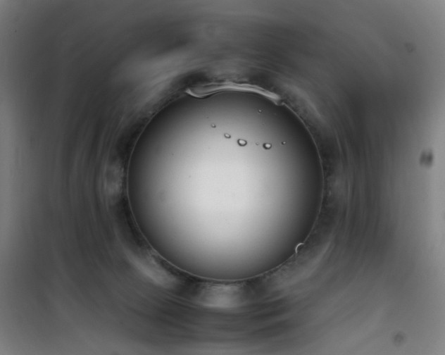 X0000101660081200807101304