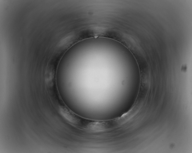 X0000101660082200807101304