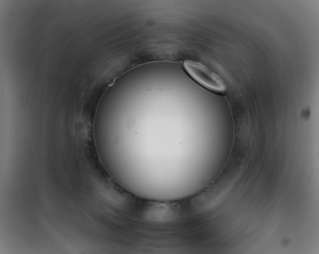 X0000101660083200807101304