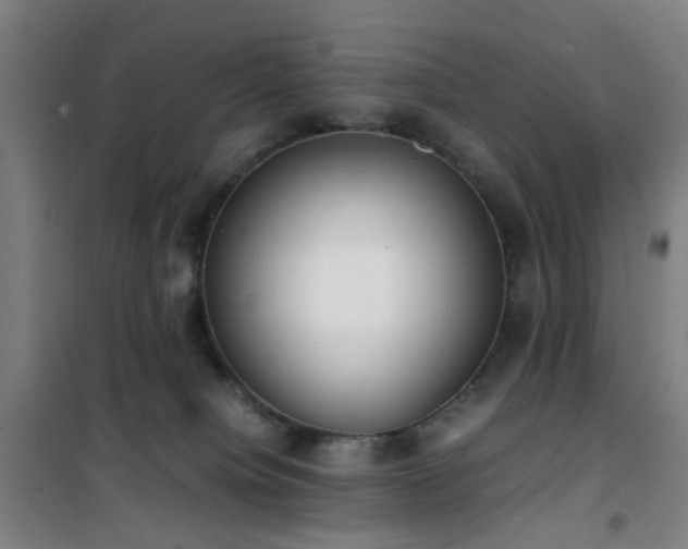 X0000101660084200807101304