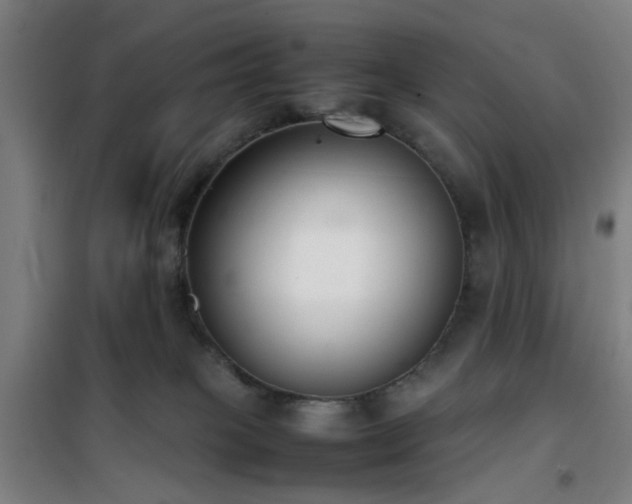 X0000101660085200807101304