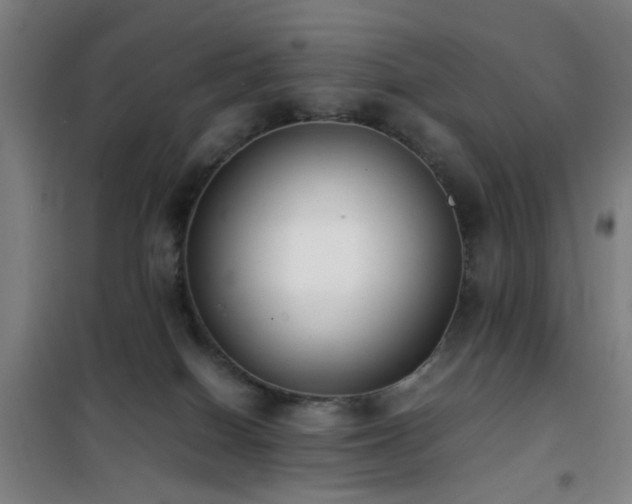 X0000101660086200807101304