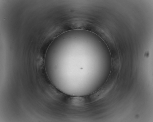 X0000101660087200807101304