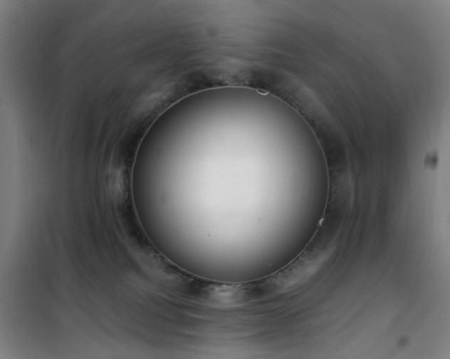 X0000101660088200807101304