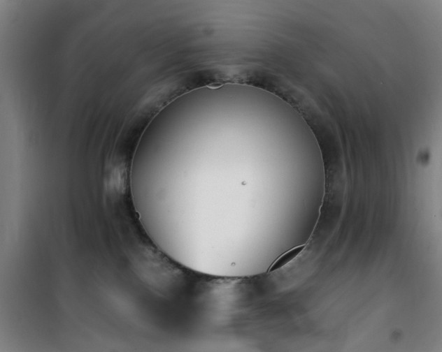 X0000101660090200807101304