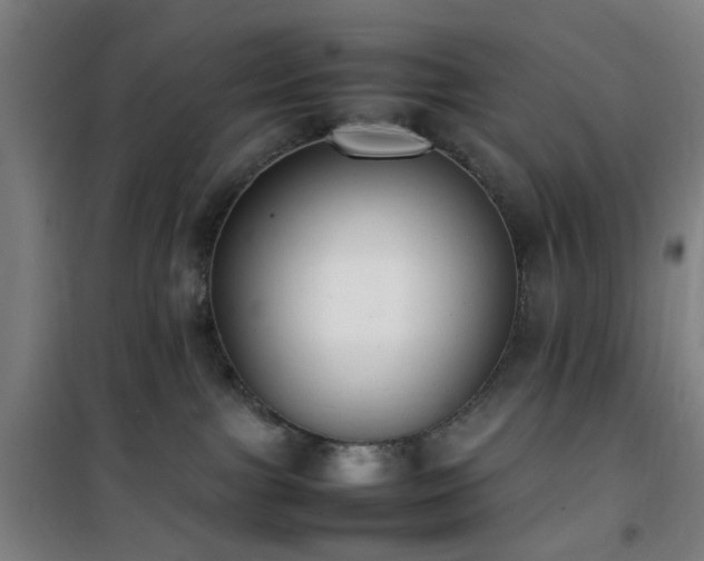 X0000101660091200807101304