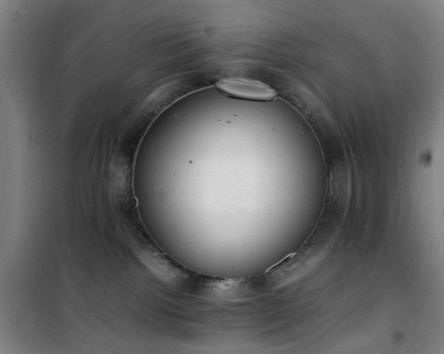 X0000101660092200807101304