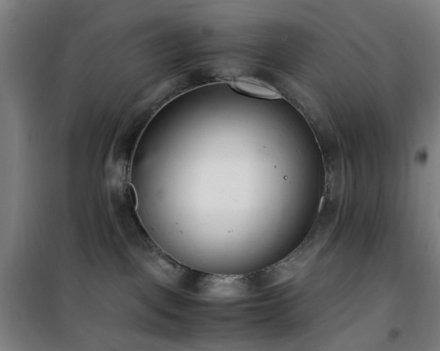 X0000101660093200807101304