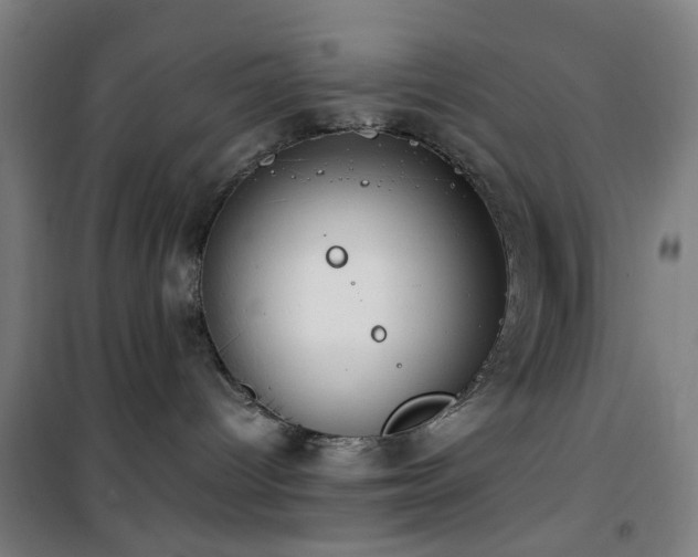 X0000101660096200807101304