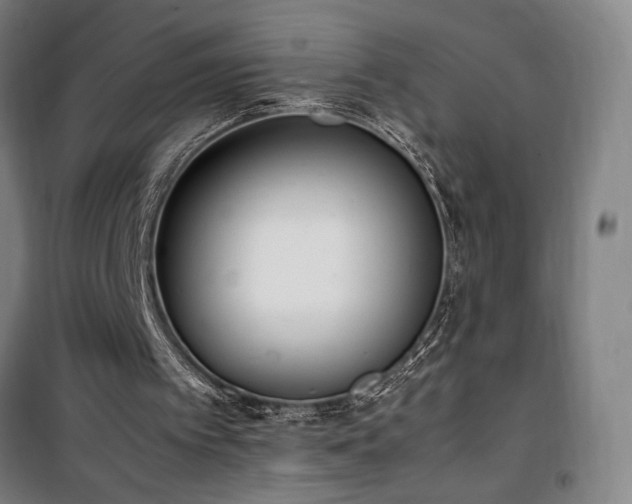 X0000101660097200807101303