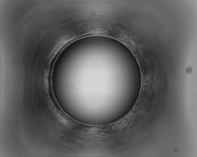 X0000101660098200807101303