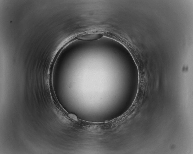 X0000101660100200807101303