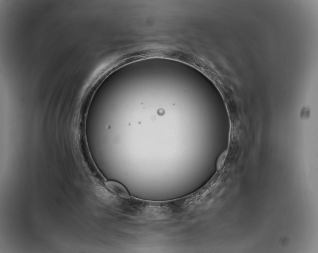 X0000101660101200807101303