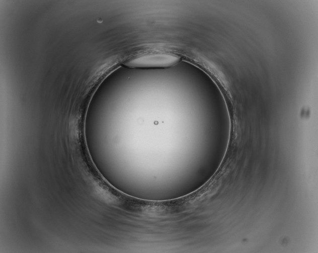 X0000101660105200807101303