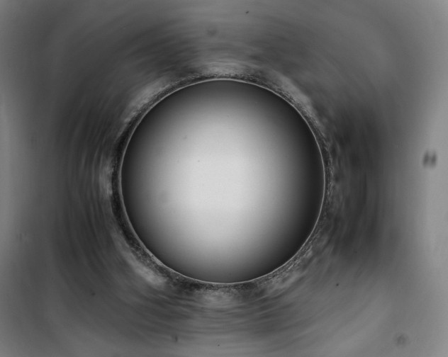 X0000101660106200807101303