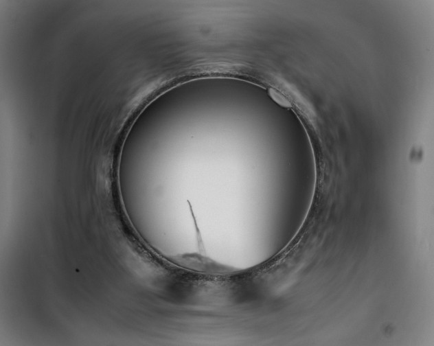 X0000101660107200807101303