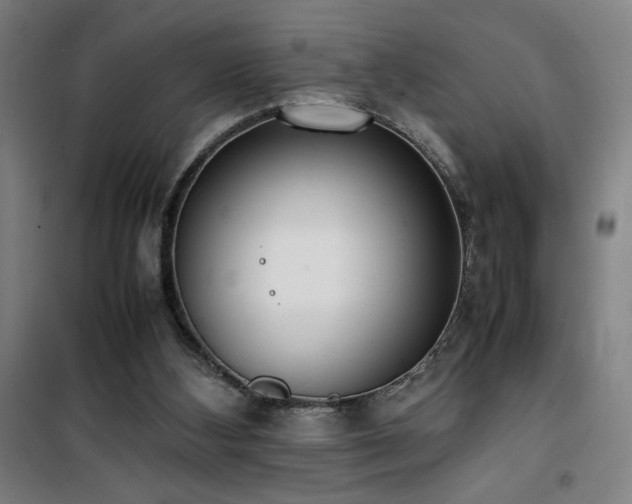 X0000101660108200807101303