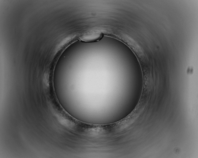 X0000101660112200807101303