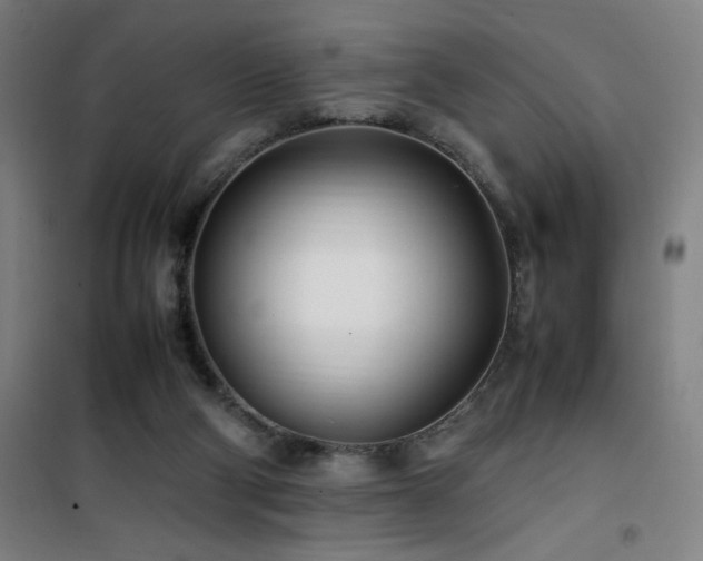 X0000101660114200807101303