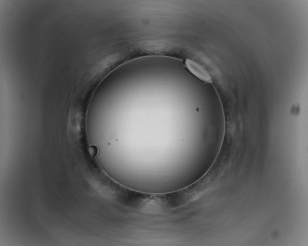 X0000101660115200807101303