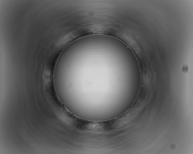 X0000101660117200807101303