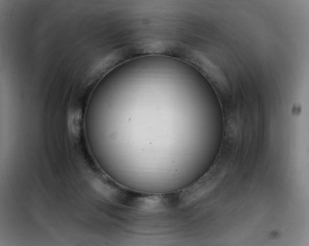 X0000101660118200807101303